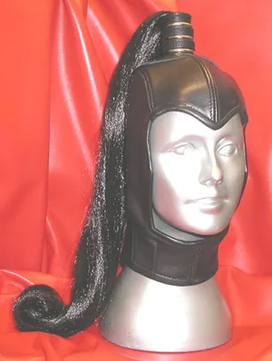 leather hood
